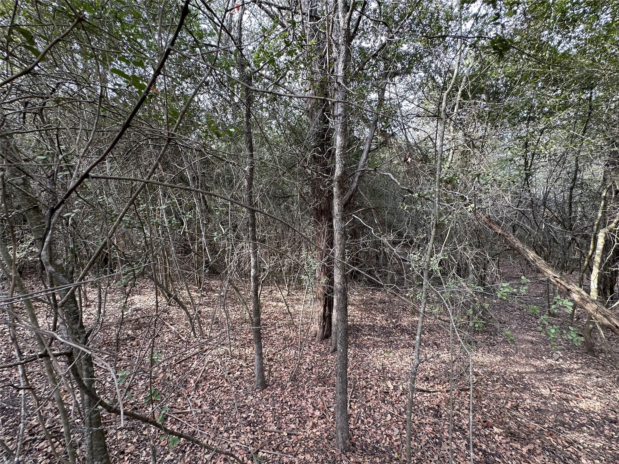 Lot 1233 Hanauma Dr Property Photo 31