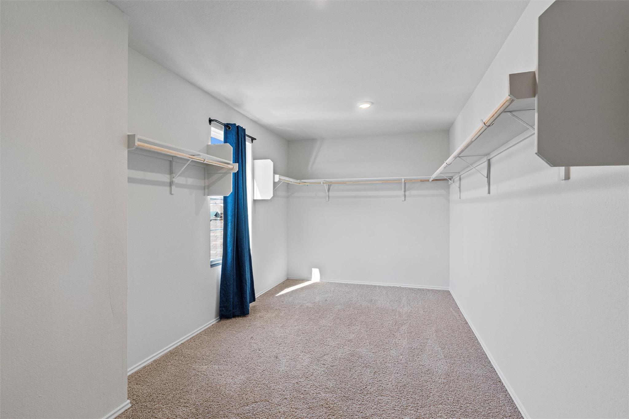 11104 Roving Pass Property Photo 19
