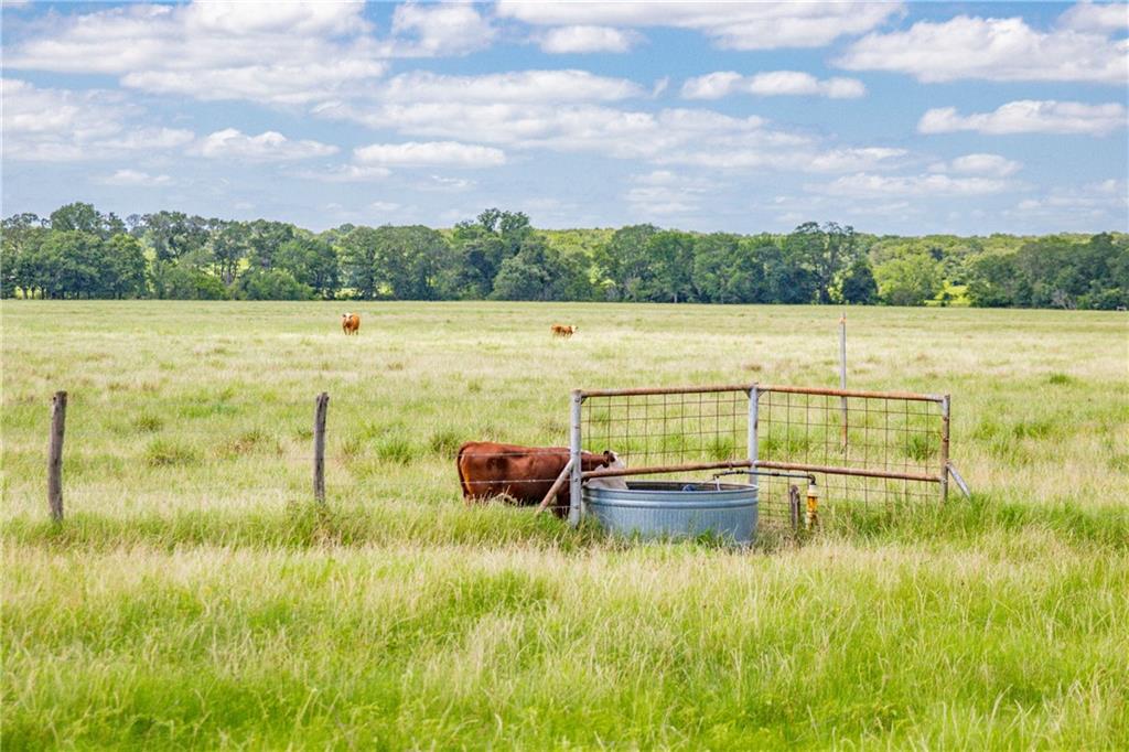 Tbd (90 Ac) Cr 205 Property Photo 17