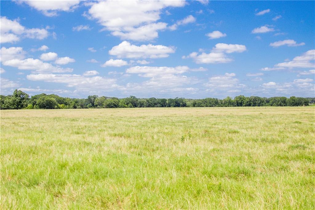 Tbd (90 Ac) Cr 205 Property Photo 19