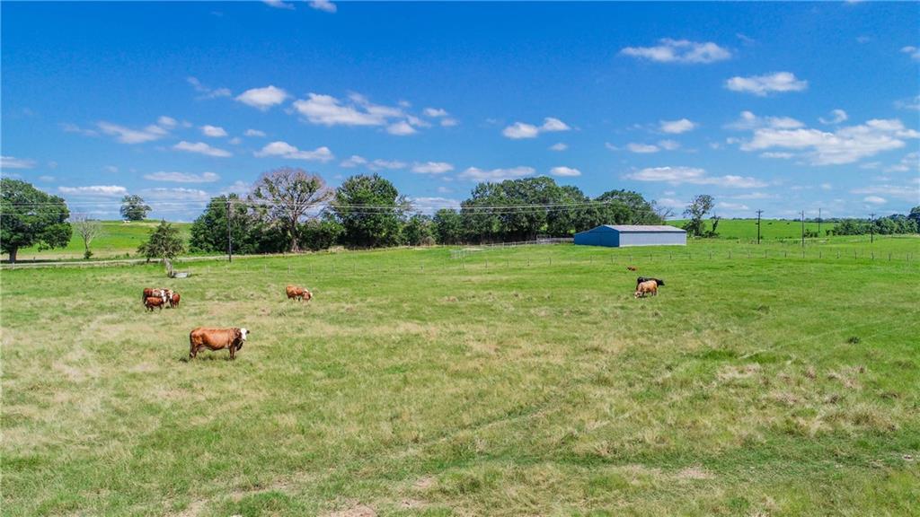 Tbd (90 Ac) Cr 205 Property Photo 21