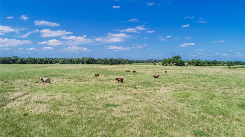 Tbd (90 Ac) Cr 205 Property Photo 22