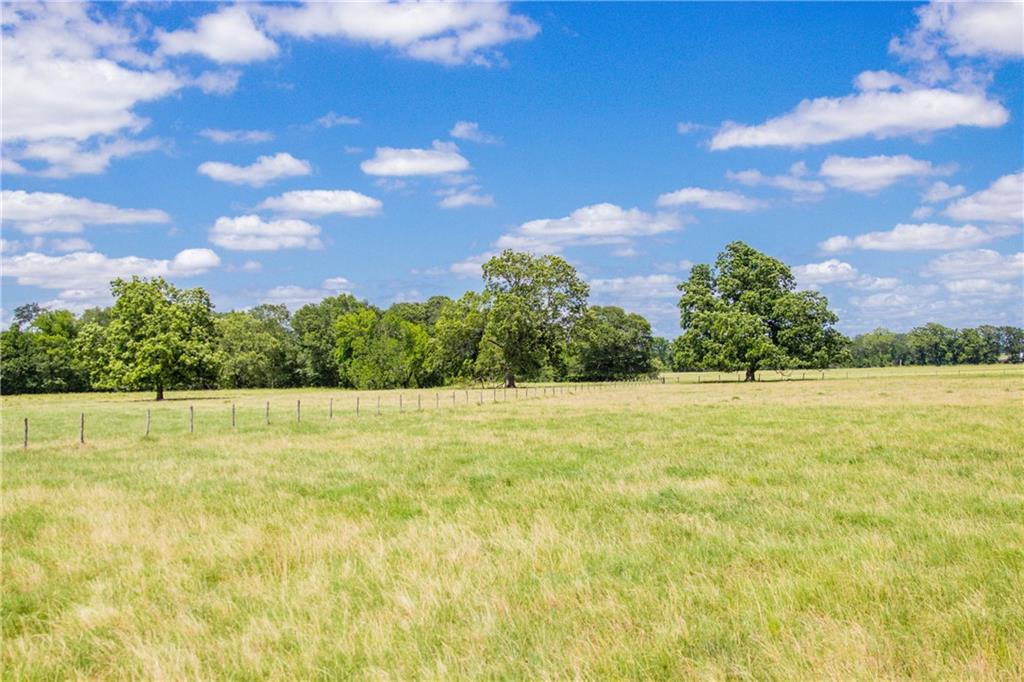 Tbd (90 Ac) Cr 205 Property Photo 23