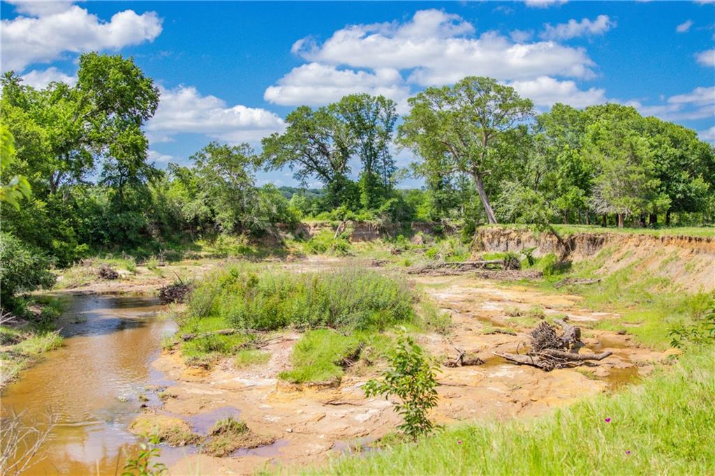 Tbd (90 Ac) Cr 205 Property Photo 30