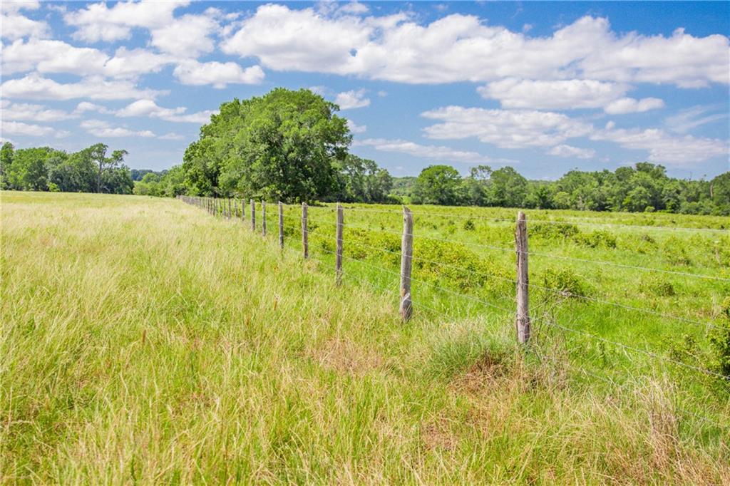 Tbd (90 Ac) Cr 205 Property Photo 31