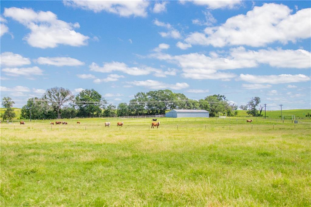Tbd (90 Ac) Cr 205 Property Photo 32