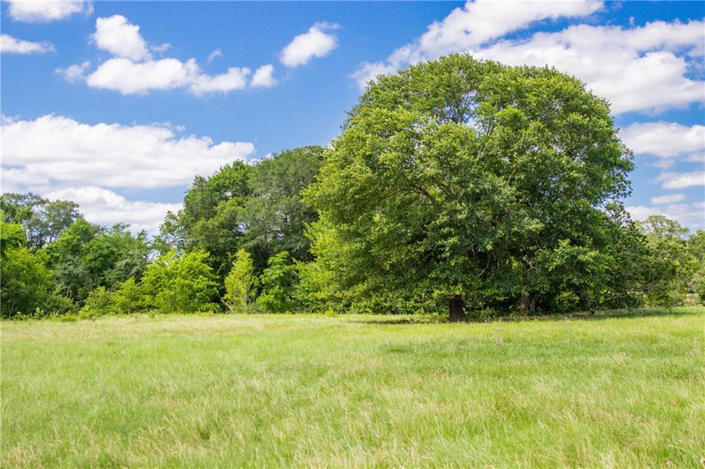 Tbd (90 Ac) Cr 205 Property Photo 33