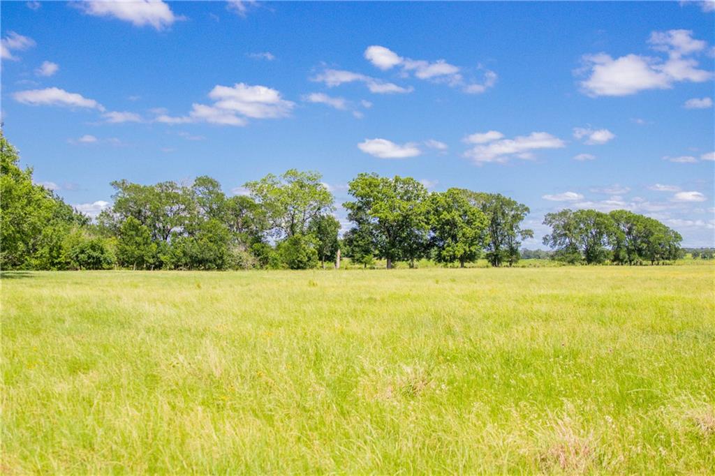 Tbd (90 Ac) Cr 205 Property Photo 34