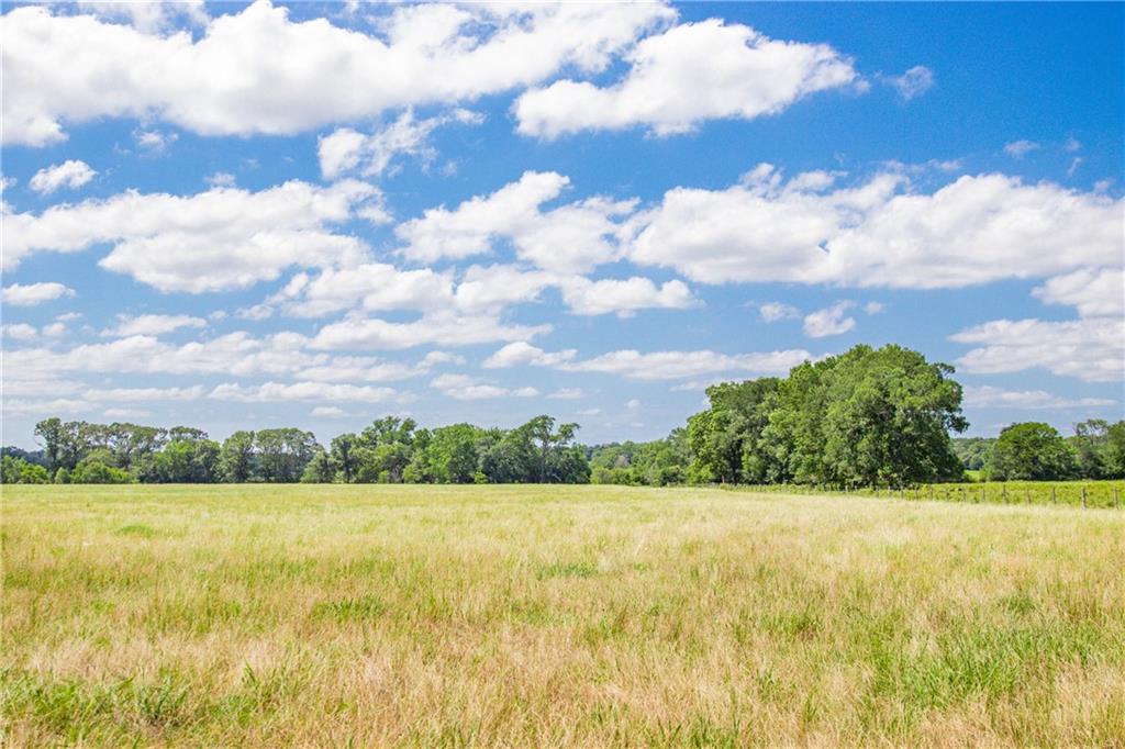 Tbd (90 Ac) Cr 205 Property Photo 37