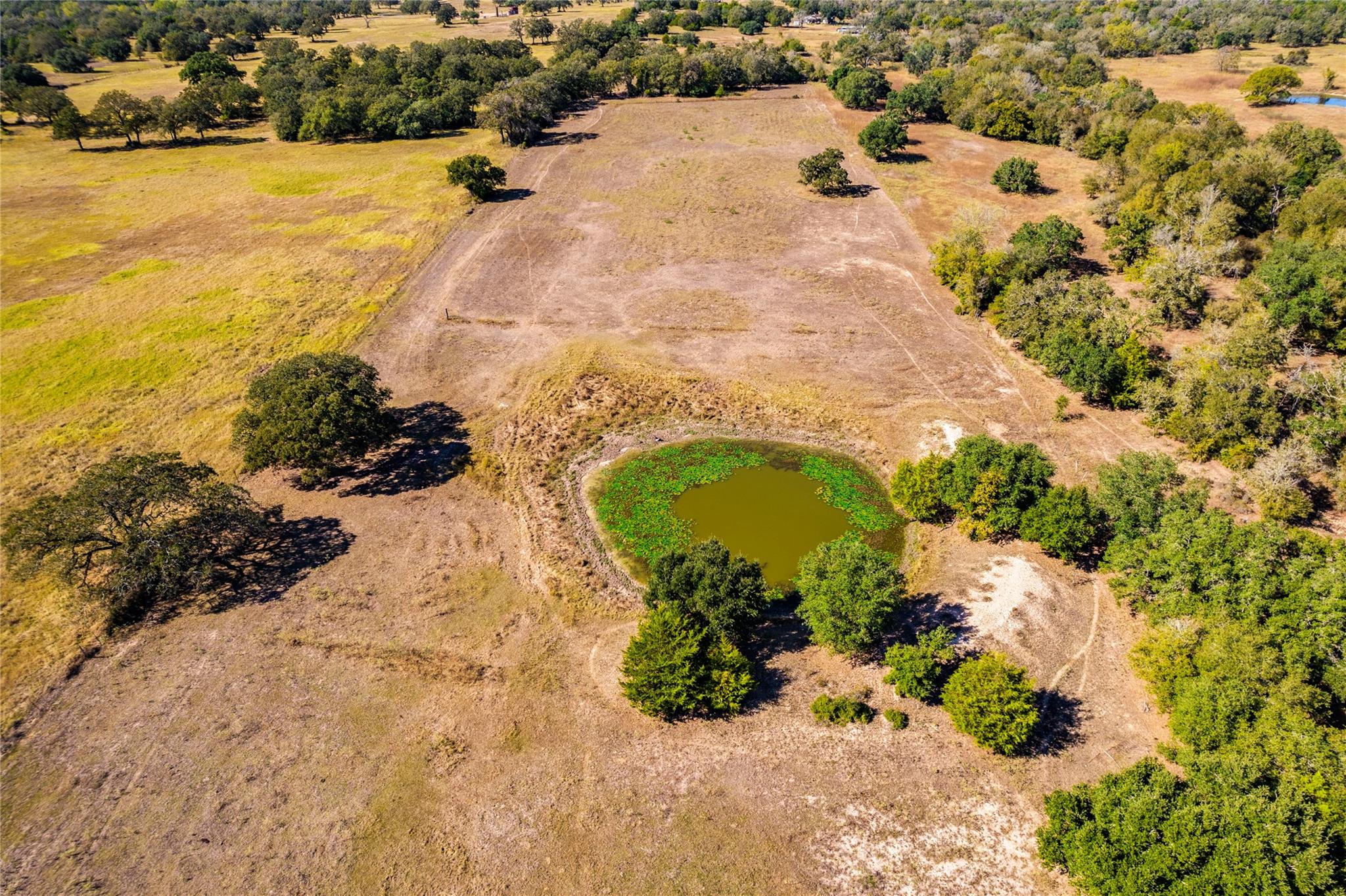 117 County Rd Property Photo 4