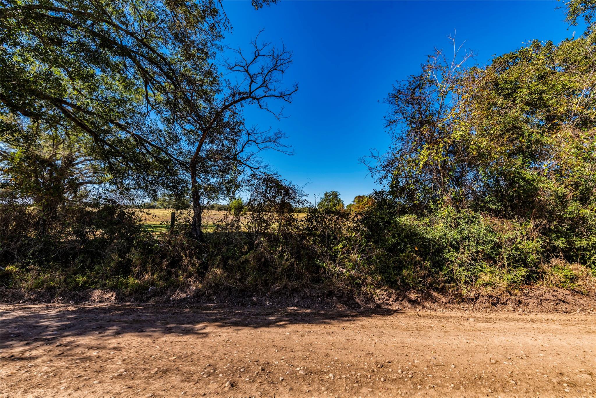 117 County Rd Property Photo 9