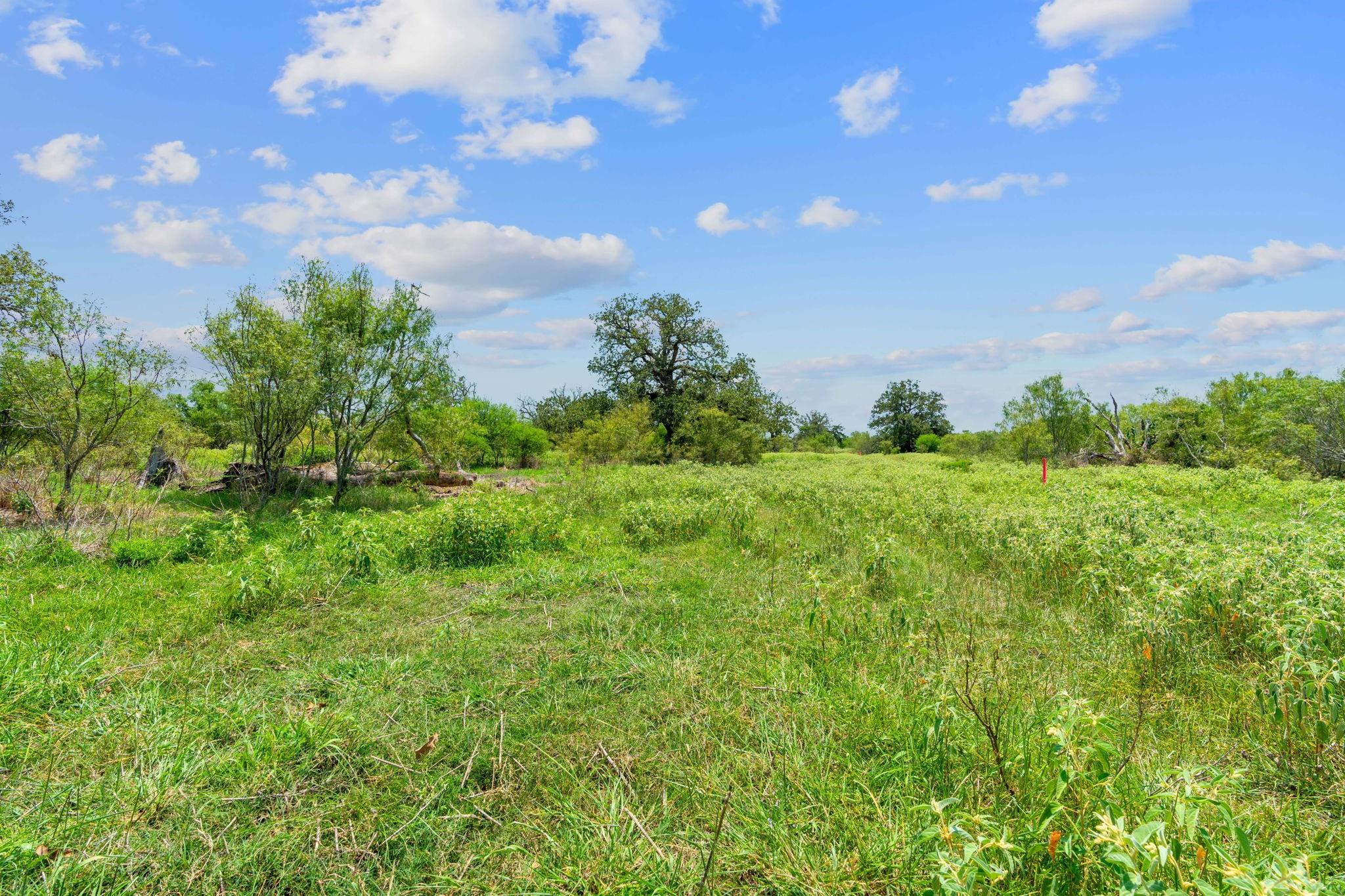 Lot 8 County Road 402 Property Photo 3