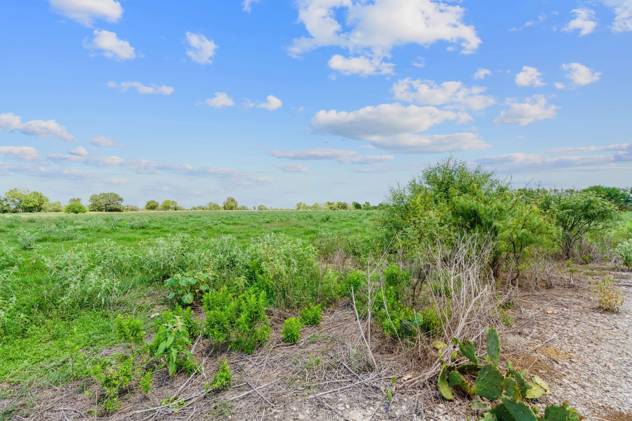 Lot 8 County Road 402 Property Photo 5