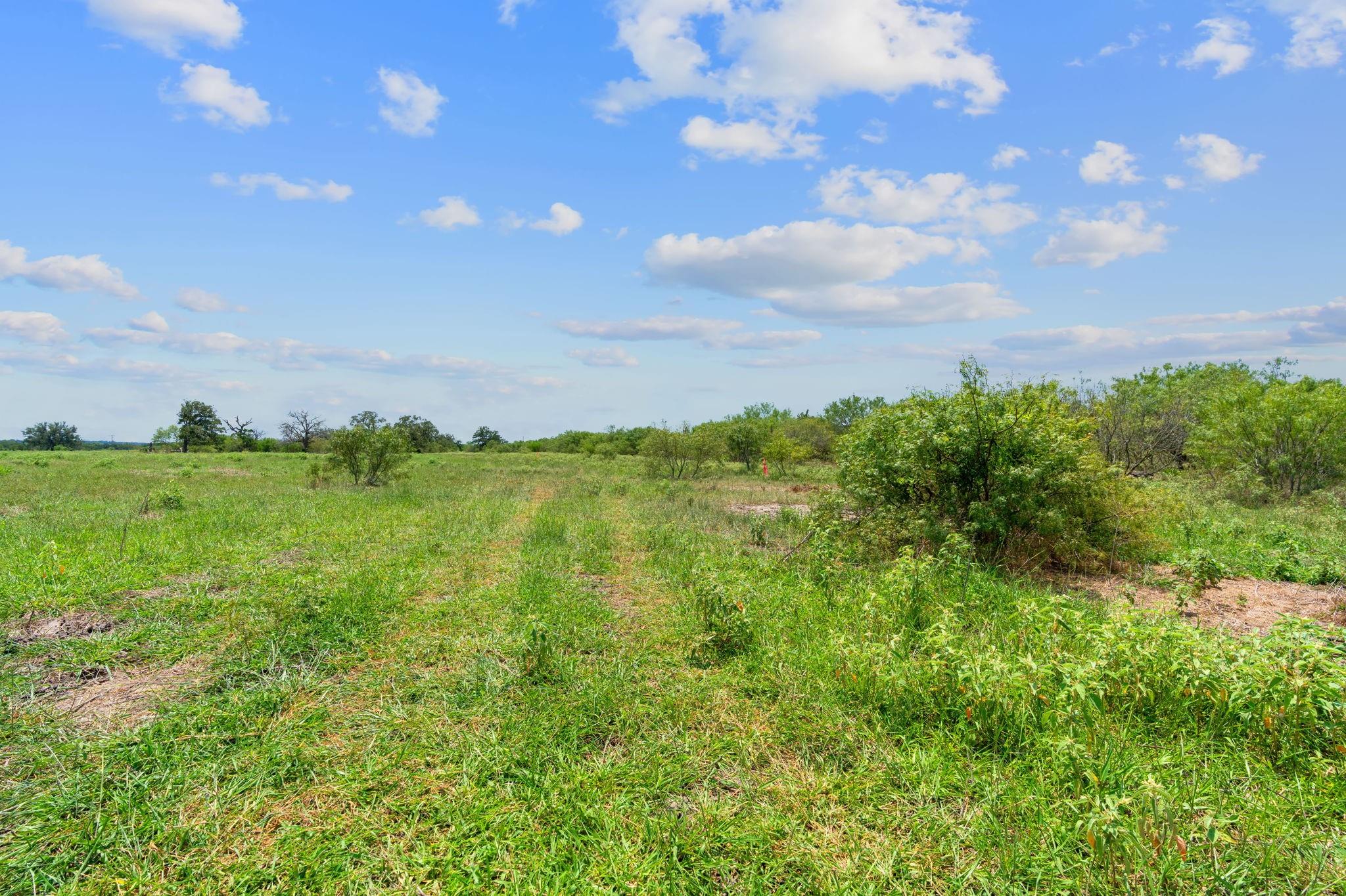 Lot 8 County Road 402 Property Photo 6