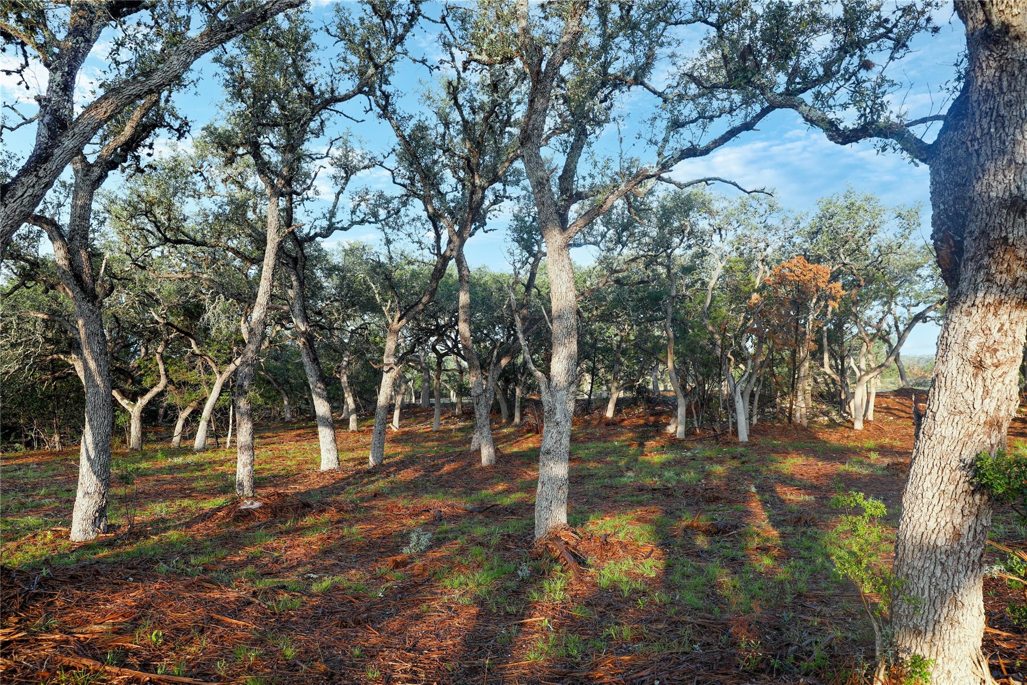 000 Kyle Ranch Road Property Photo 6