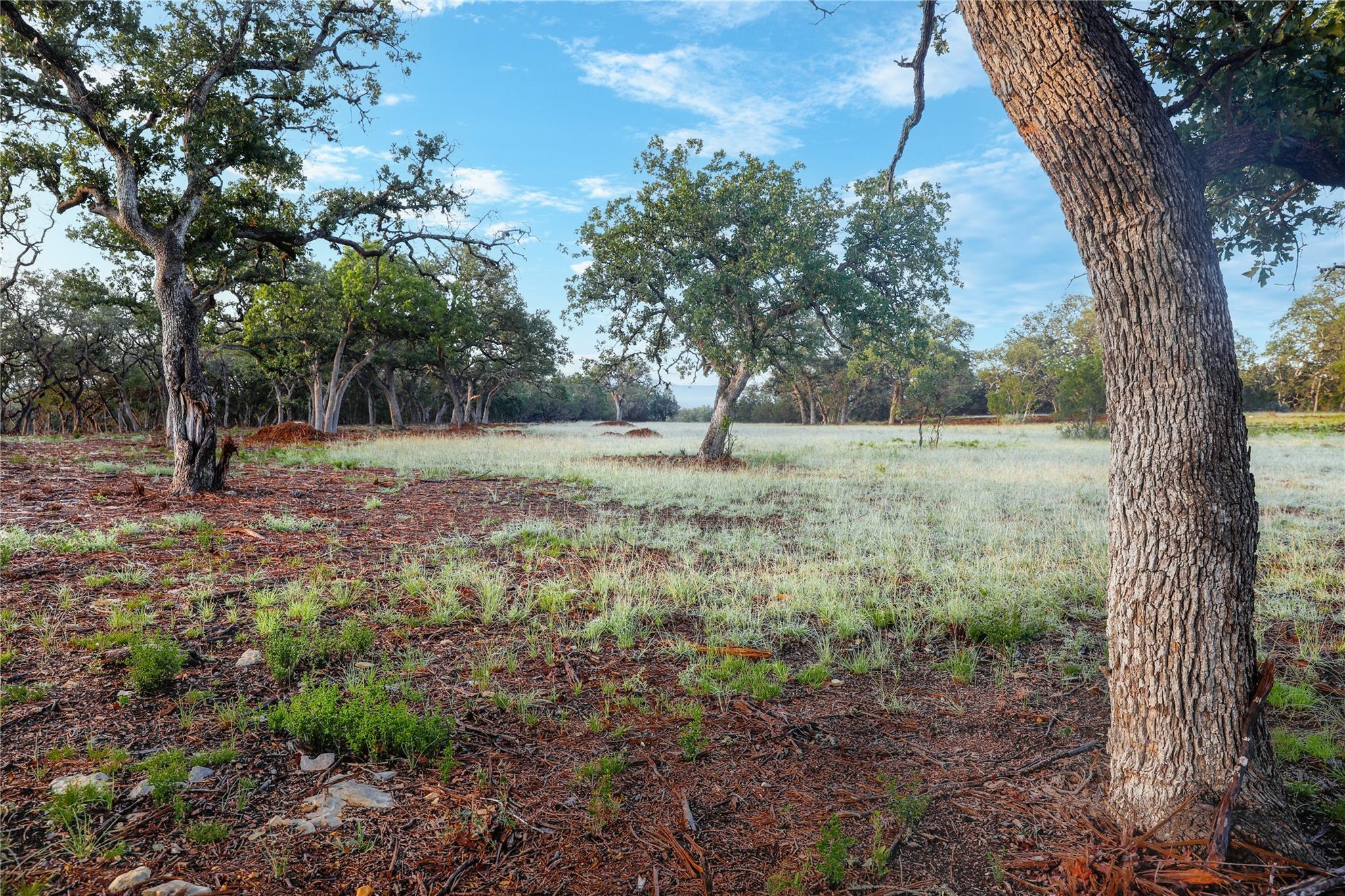000 Kyle Ranch Road Property Photo 7