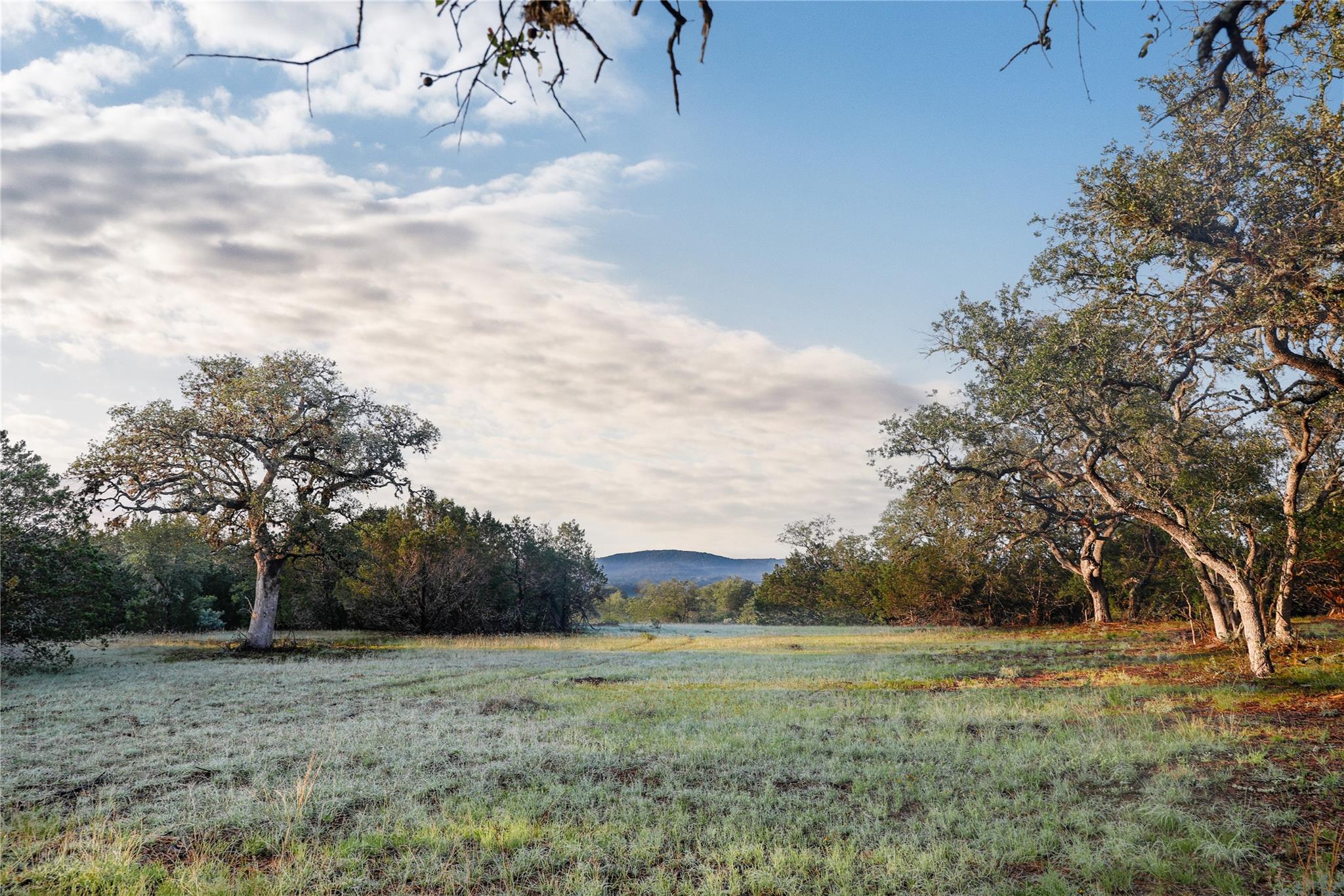 000 Kyle Ranch Road Property Photo 8