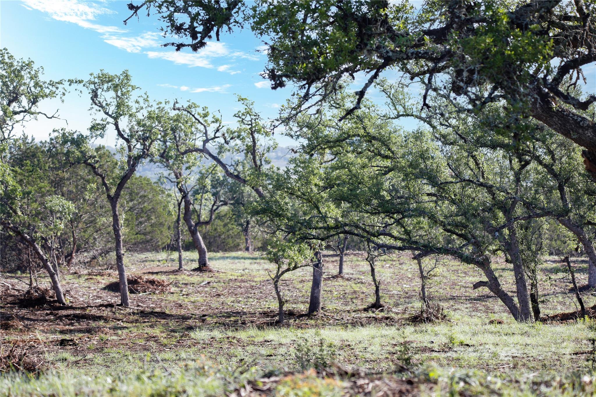 000 Kyle Ranch Road Property Photo 39