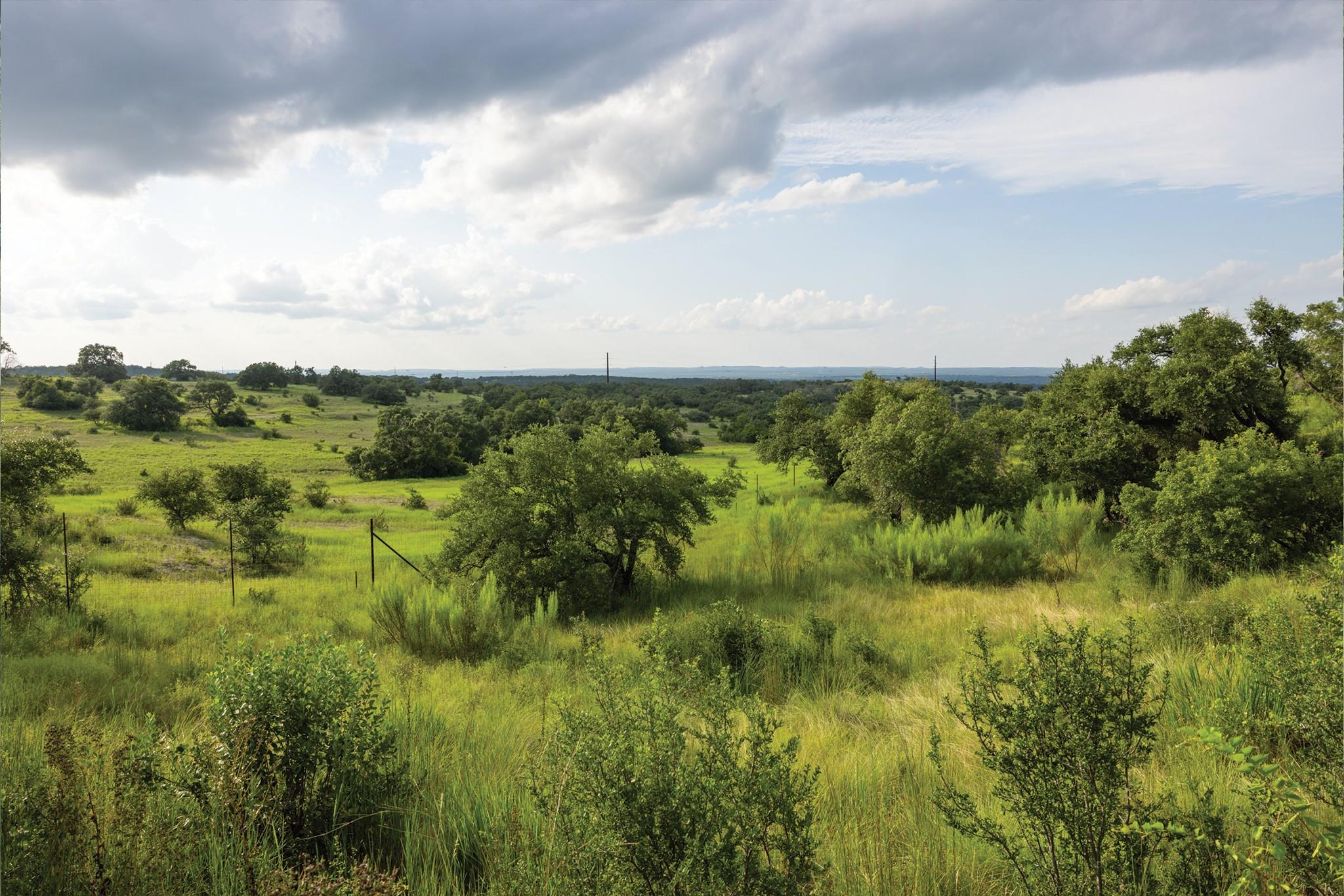 3149 Byrd Ranch Rd Property Photo 25