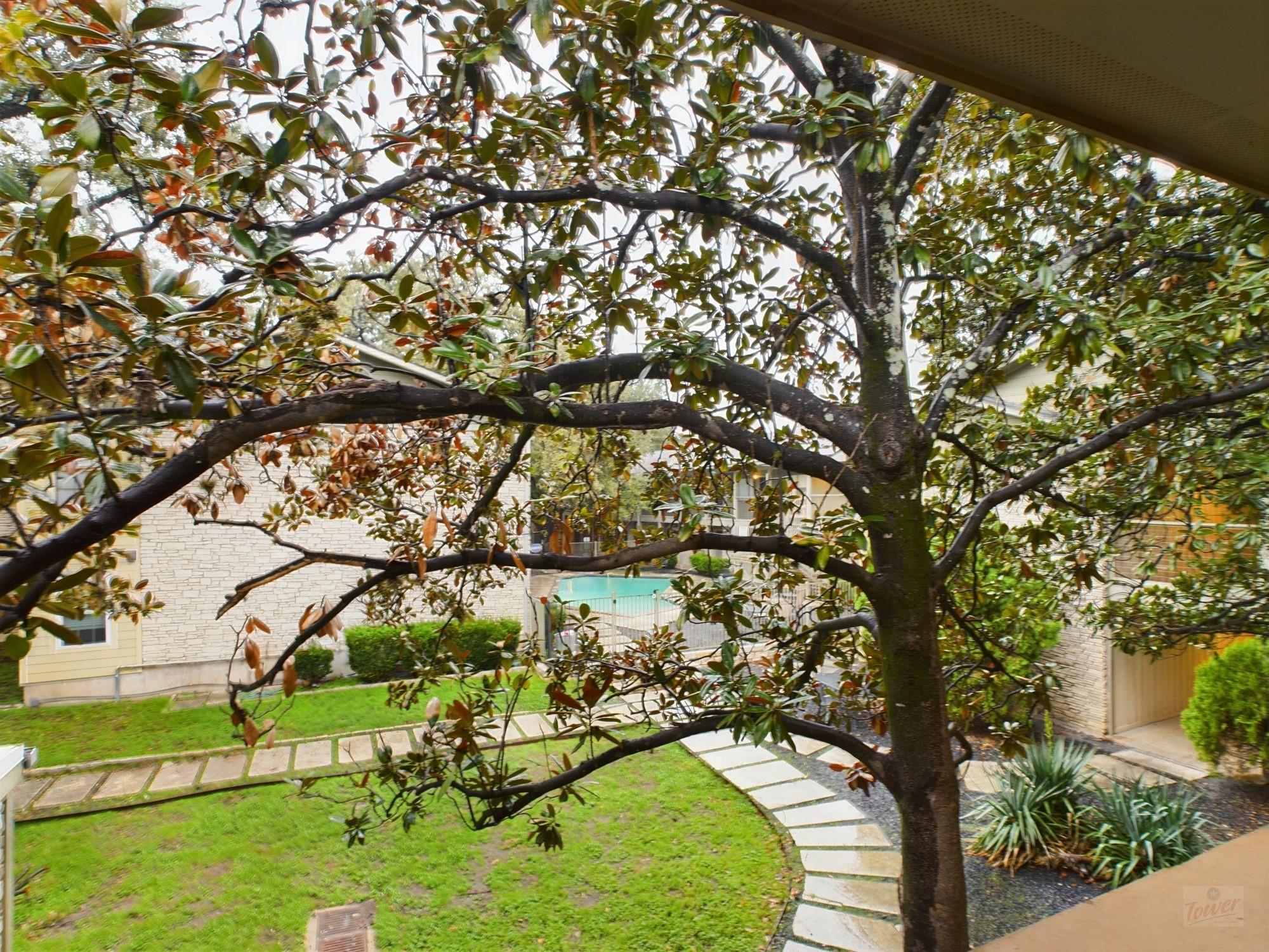 2303 East Side Dr 217 Property Photo 4