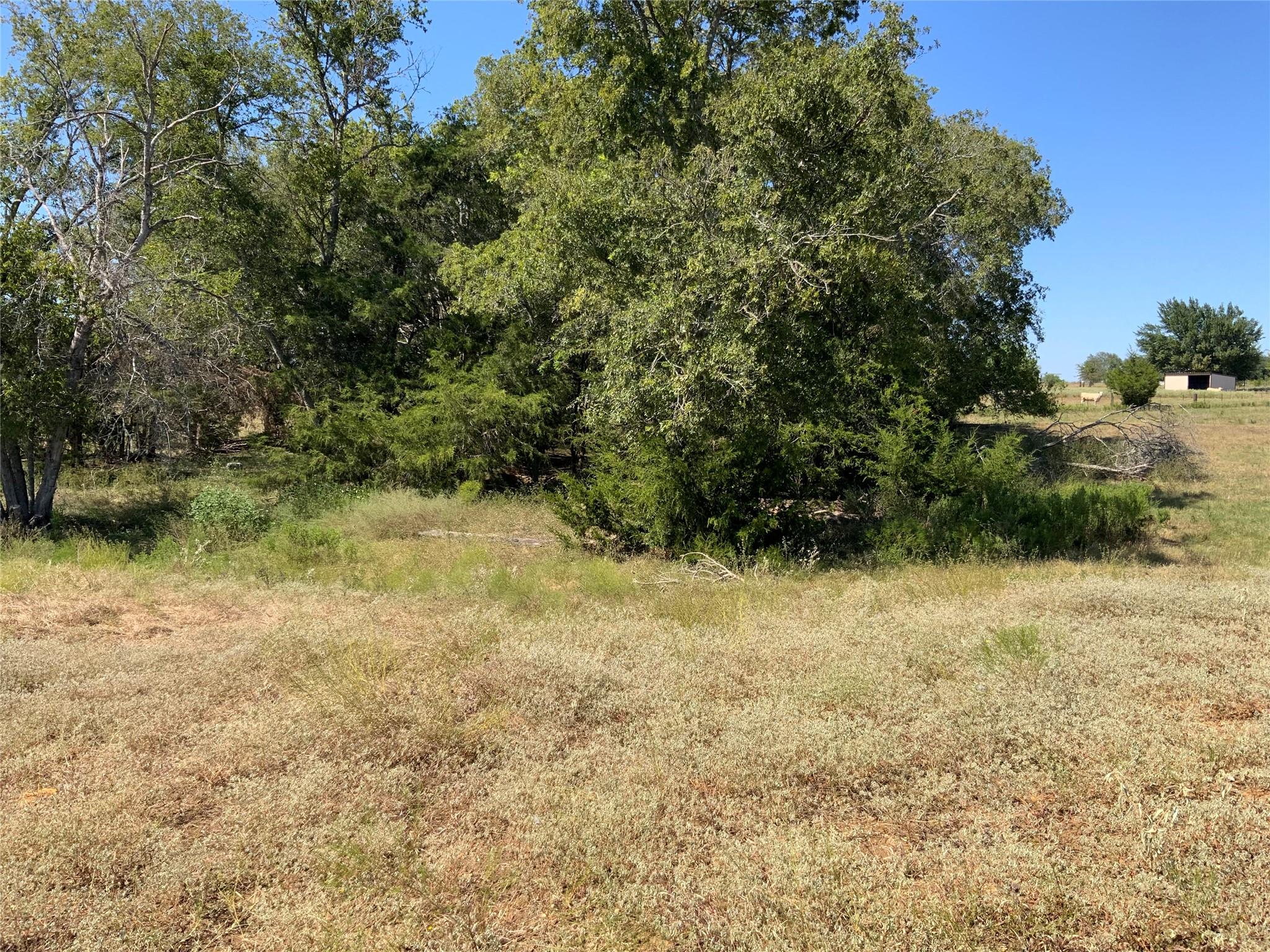 8989 Fm 141 Rd Property Photo 10