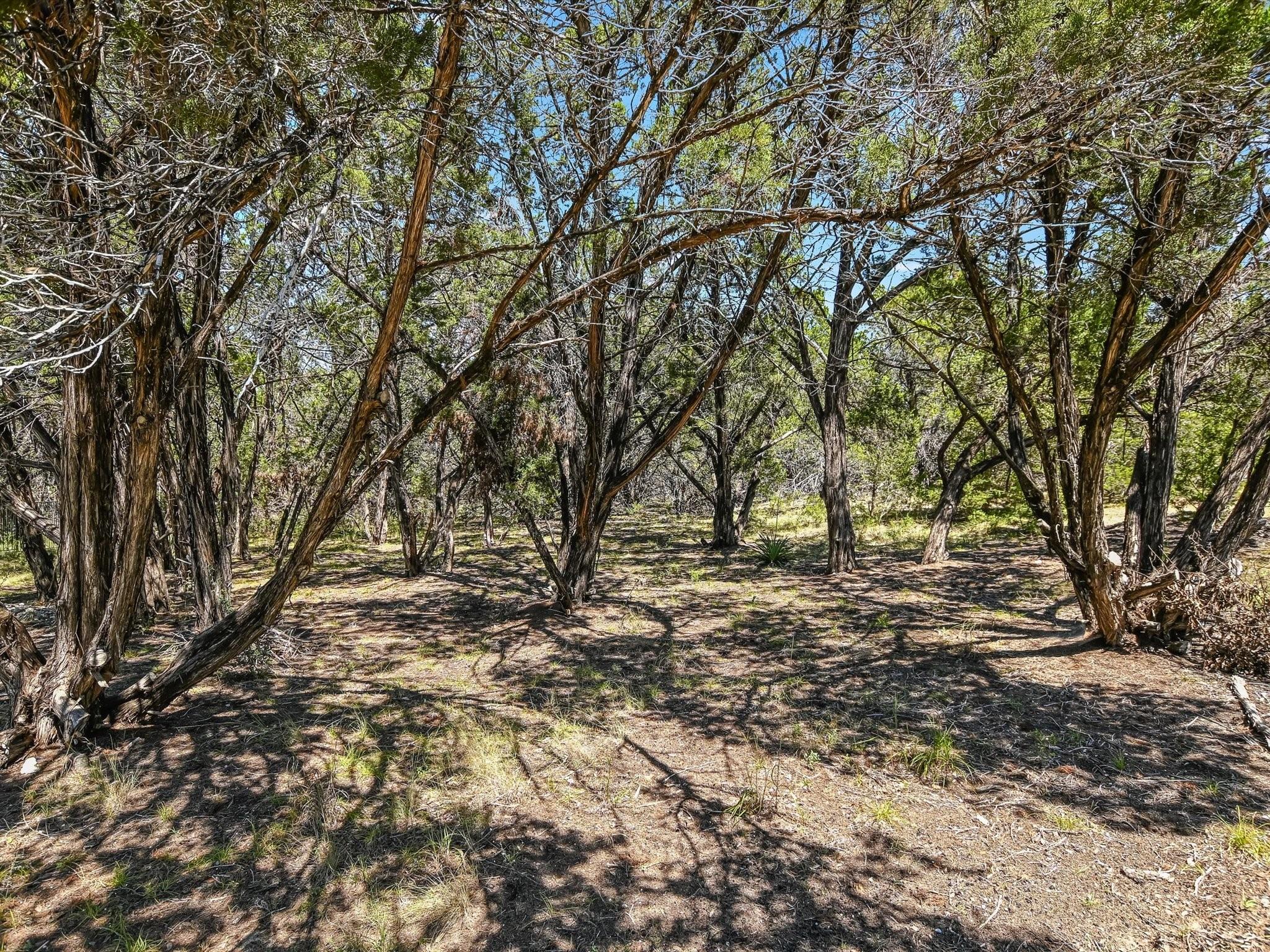 145 Milestone Rd Property Photo 30