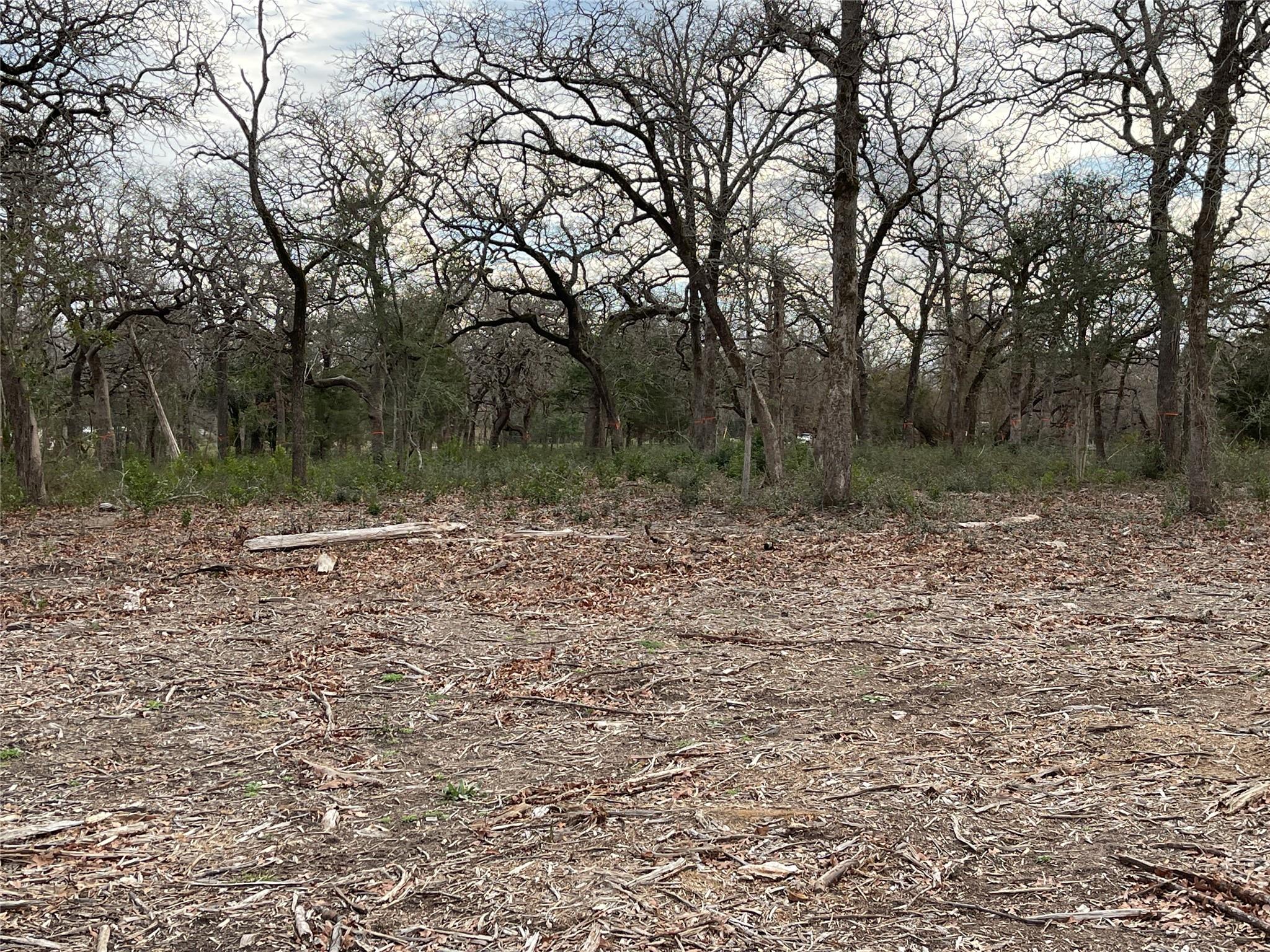 375 Cypress Trail Loop Property Photo 7