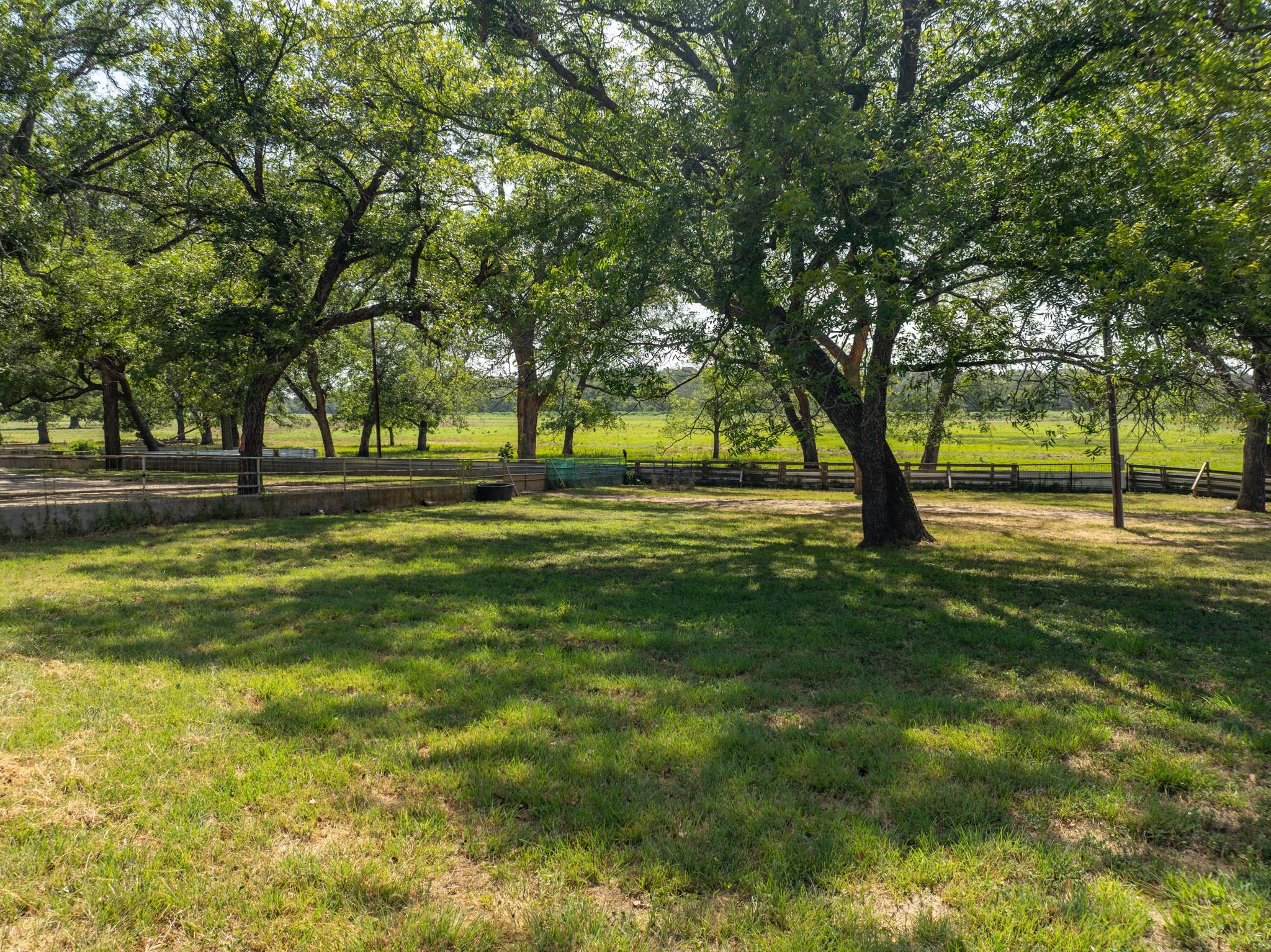 1348 County Road 203 Property Photo 9