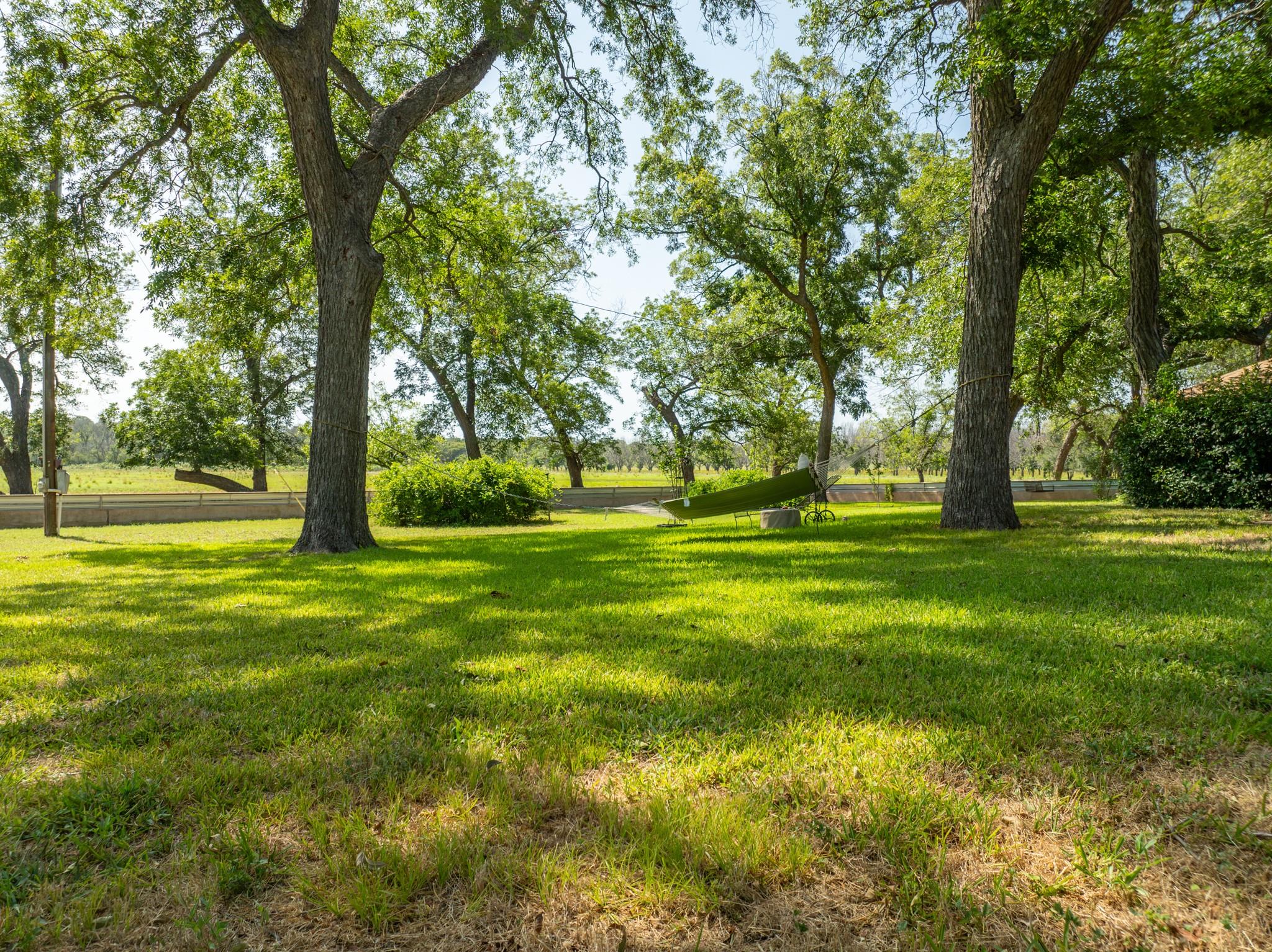 1348 County Road 203 Property Photo 12