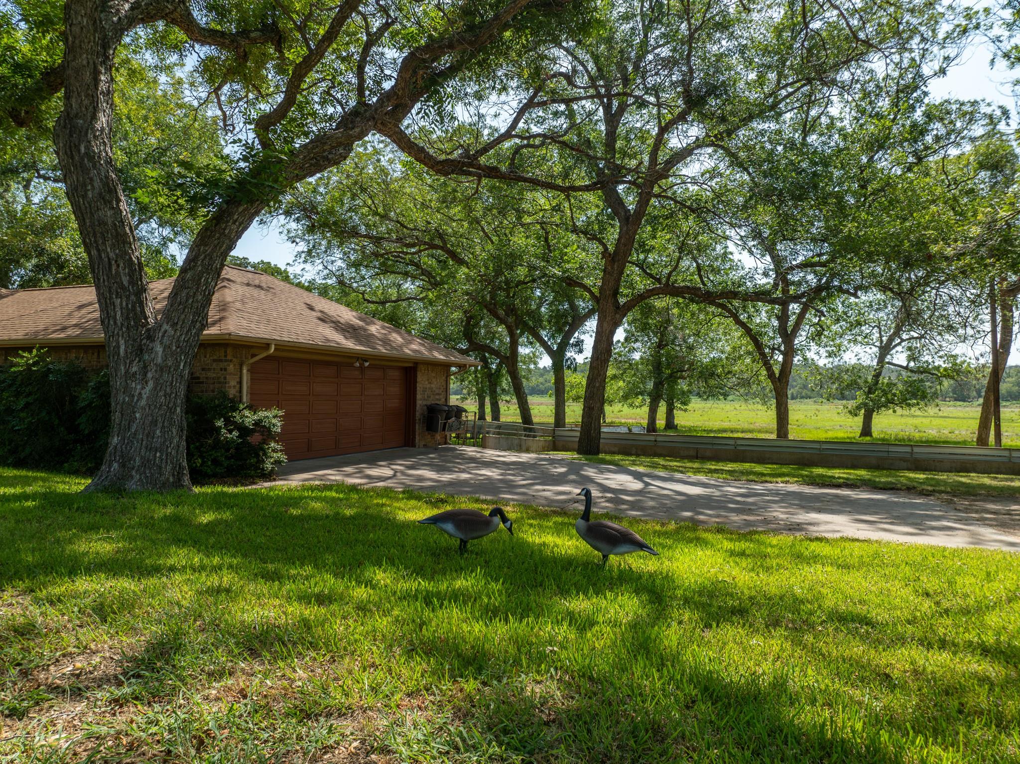 1348 County Road 203 Property Photo 16