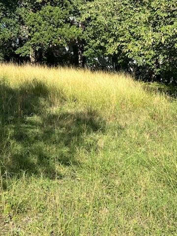 2102 Uphill Ln Property Photo 1