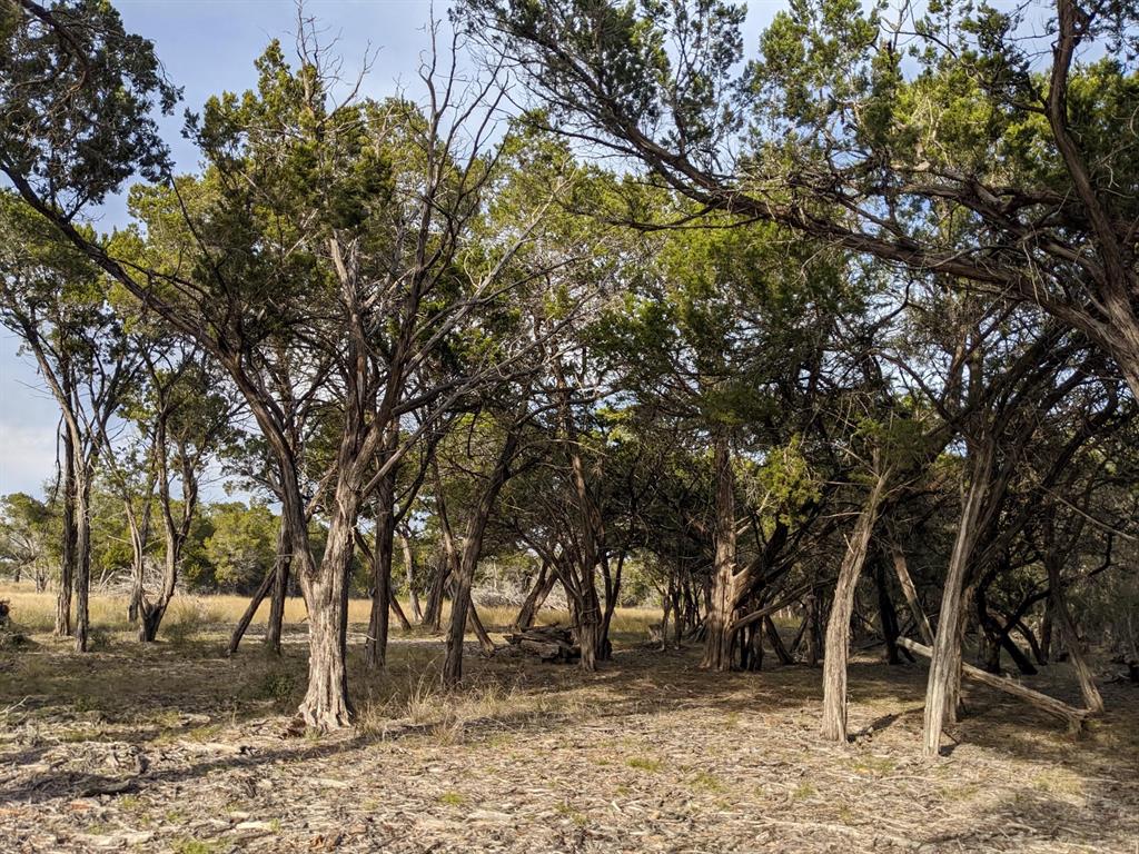 Lot 52 Clearwater Canyon Rd Property Photo 3