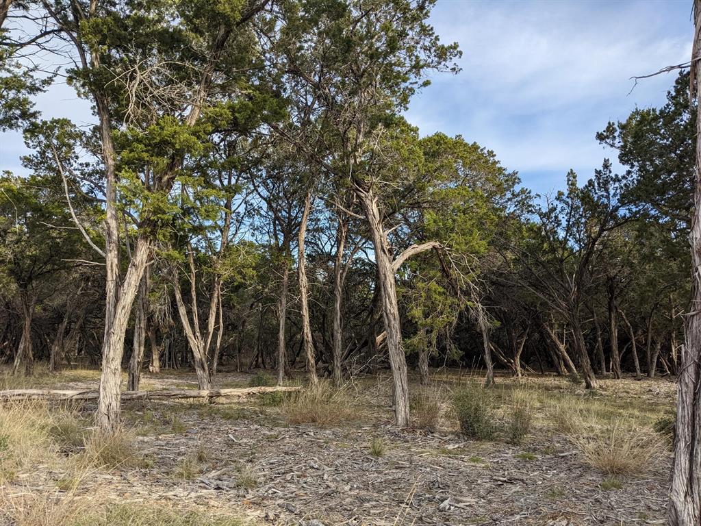 Lot 52 Clearwater Canyon Rd Property Photo 6