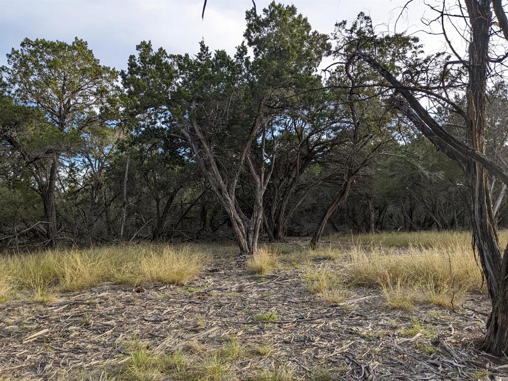 Lot 52 Clearwater Canyon Rd Property Photo 7