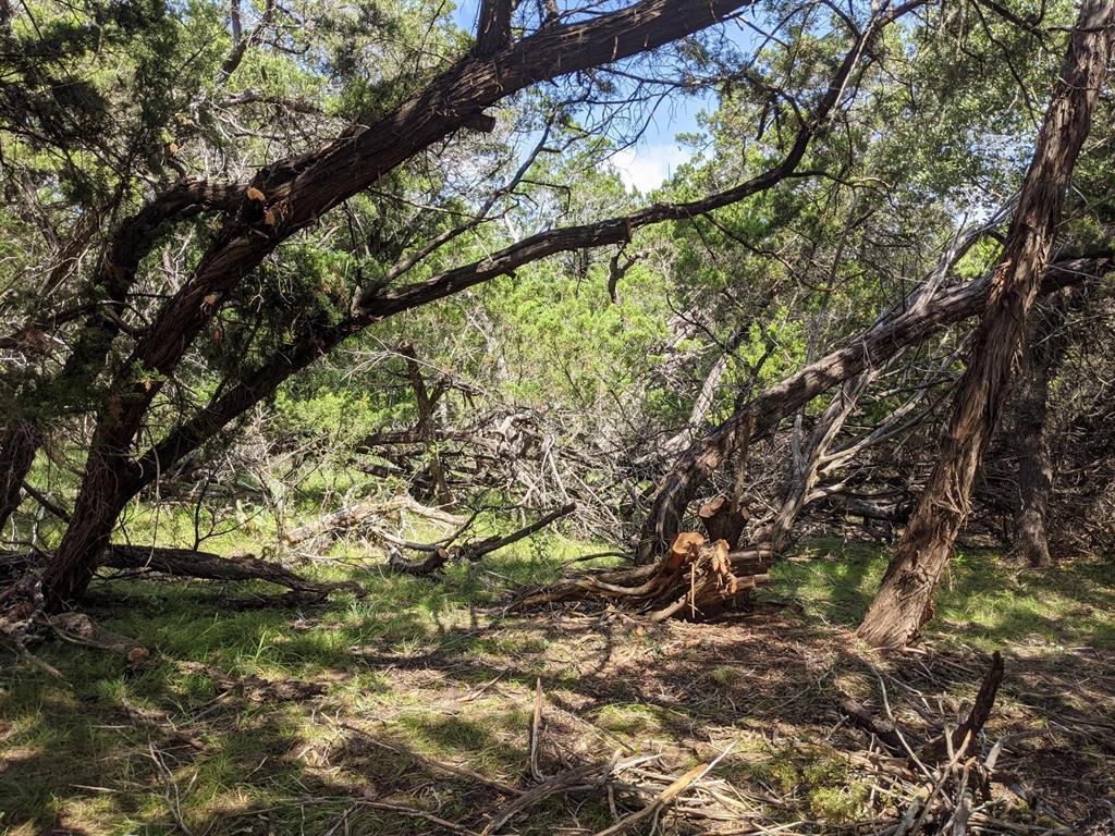 Lot 52 Clearwater Canyon Rd Property Photo 18