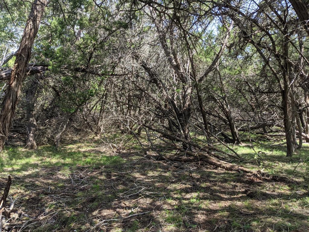 Lot 52 Clearwater Canyon Rd Property Photo 19