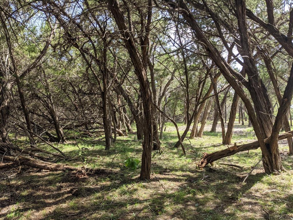 Lot 52 Clearwater Canyon Rd Property Photo 20