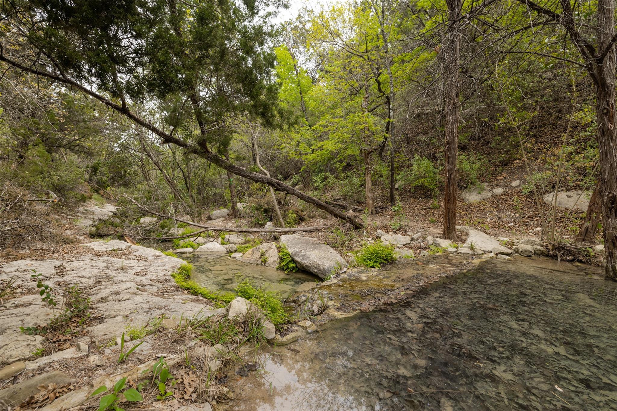 15101 Dexler Dr Property Photo 35