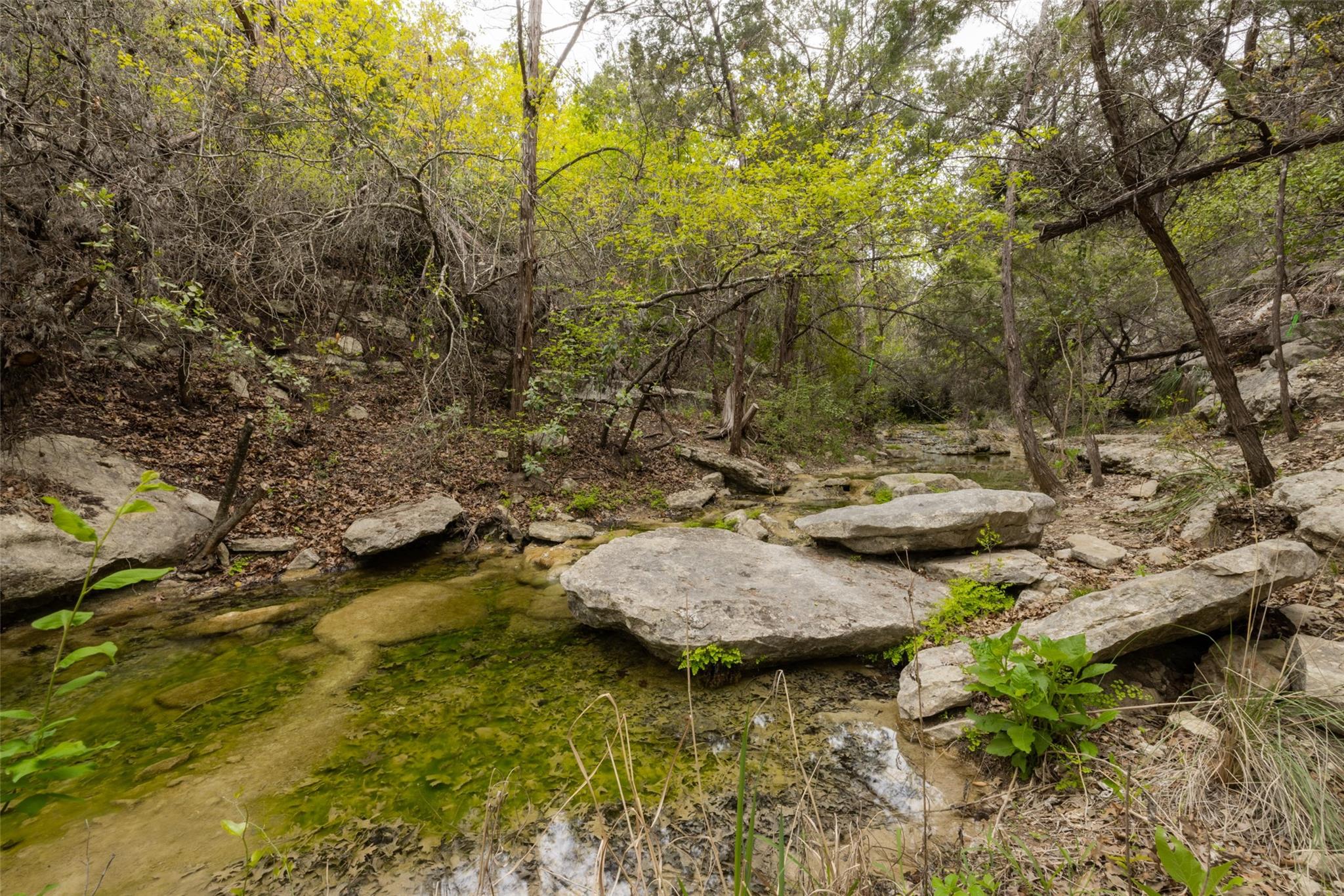 15101 Dexler Dr Property Photo 36