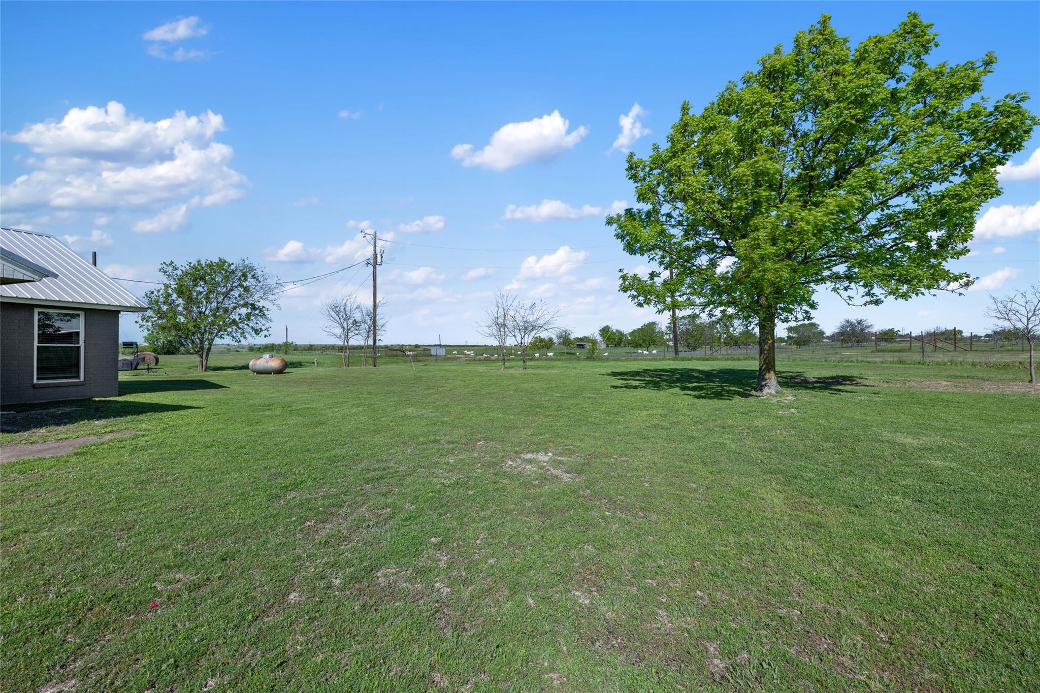 3350 County Road 303 Property Photo 24