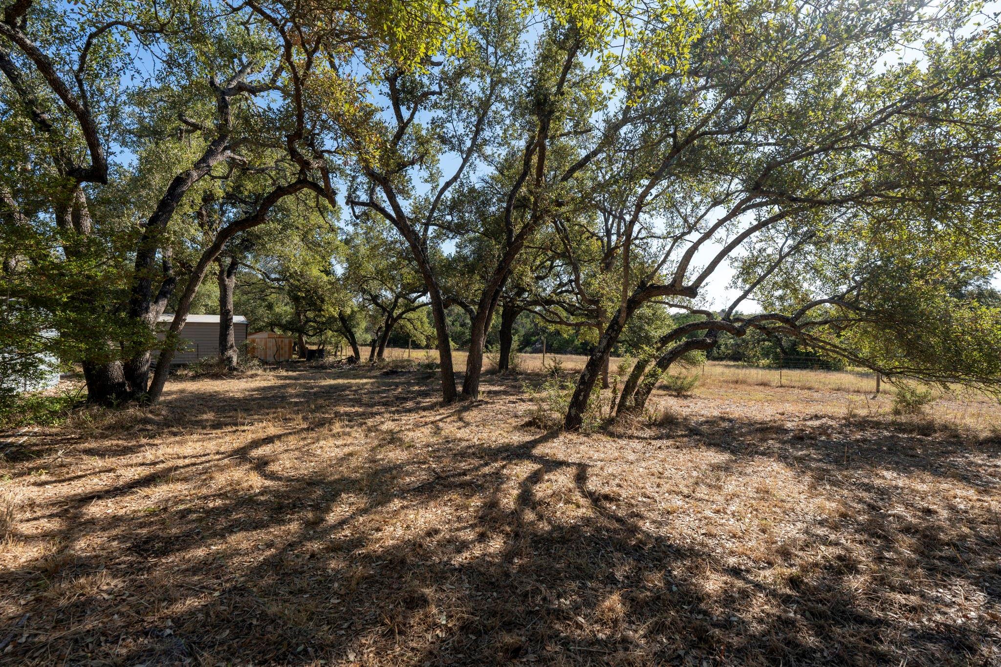 13016 S Madrone Trl Property Photo 29