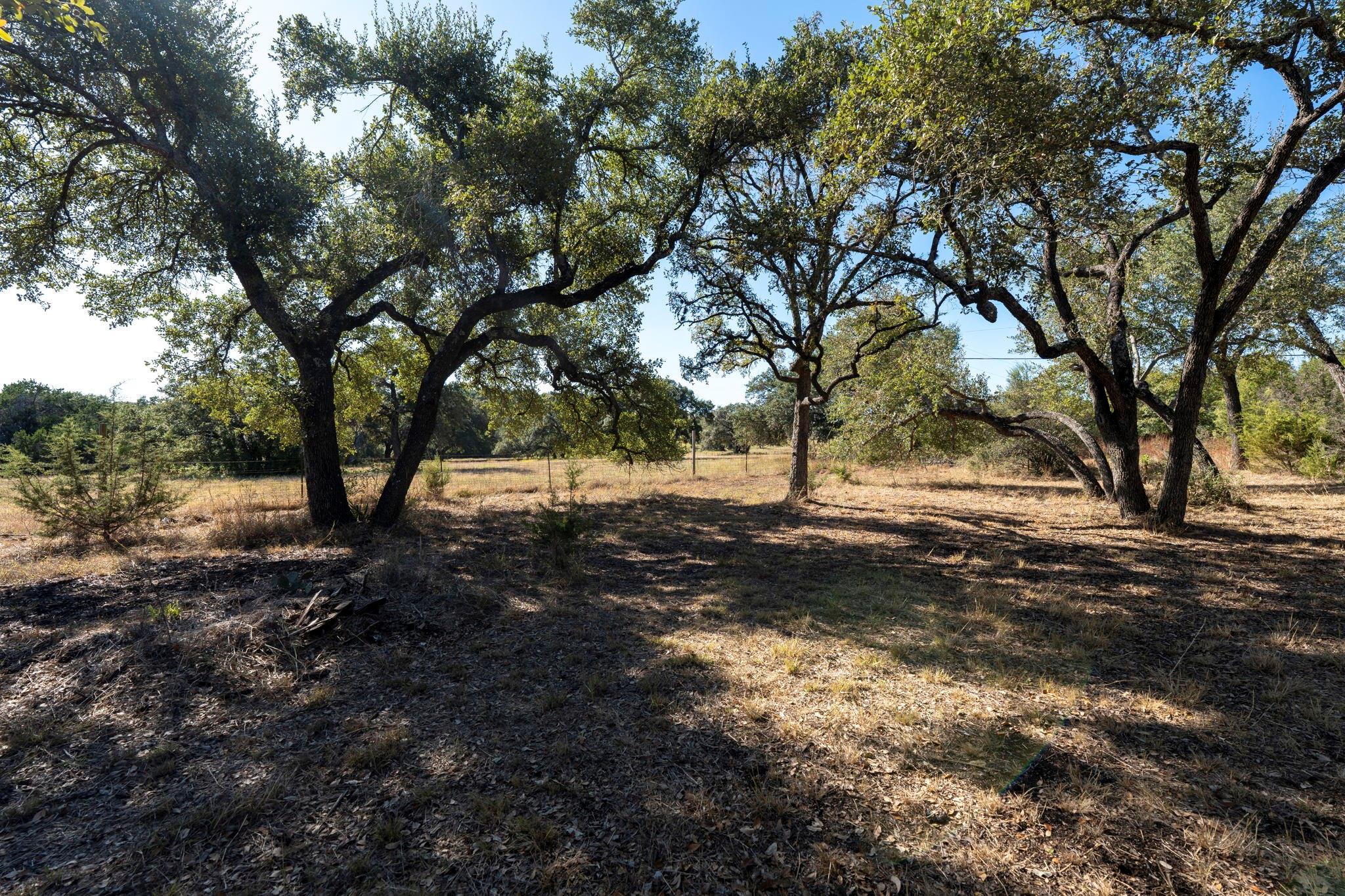 13016 S Madrone Trl Property Photo 30