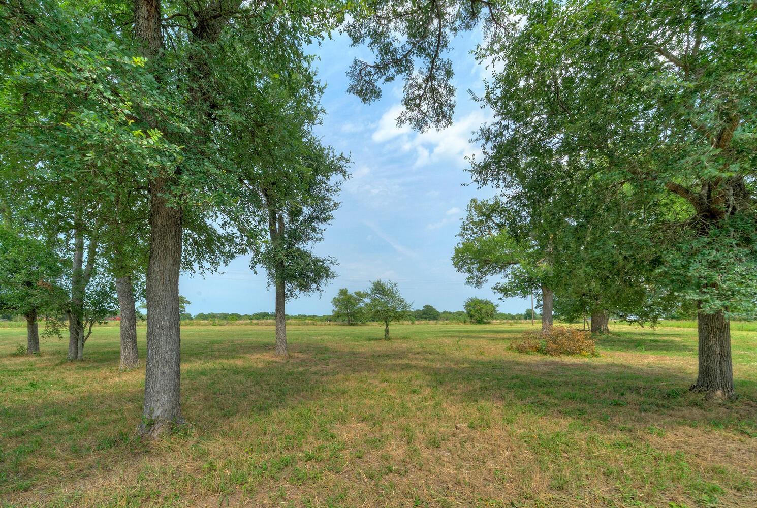 1368 Fm 969 Highway Property Photo 5