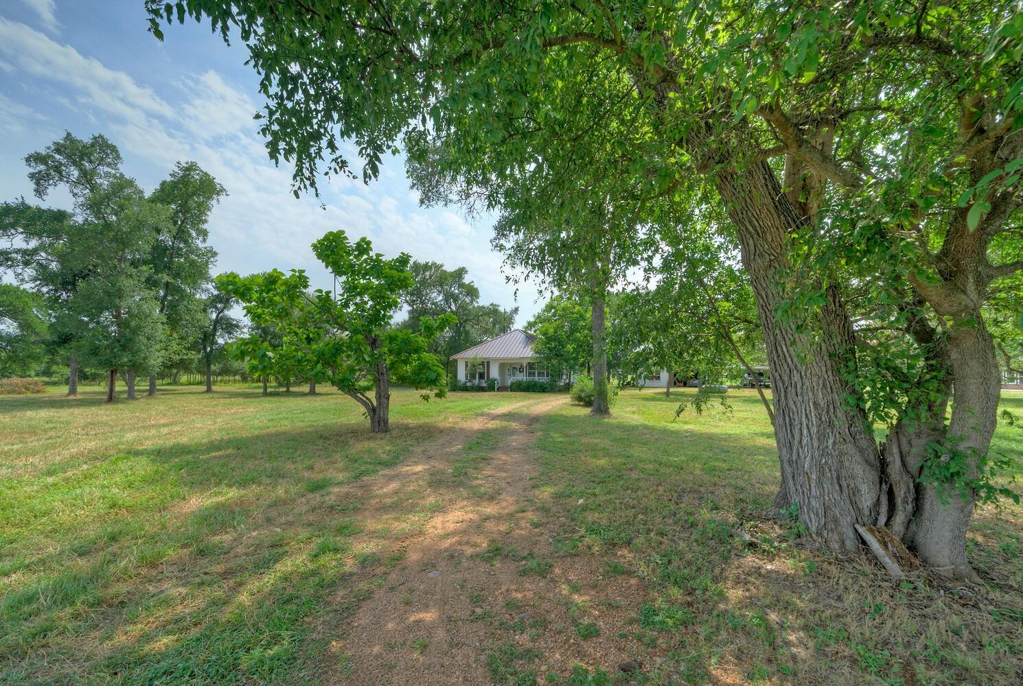 1368 Fm 969 Highway Property Photo 13