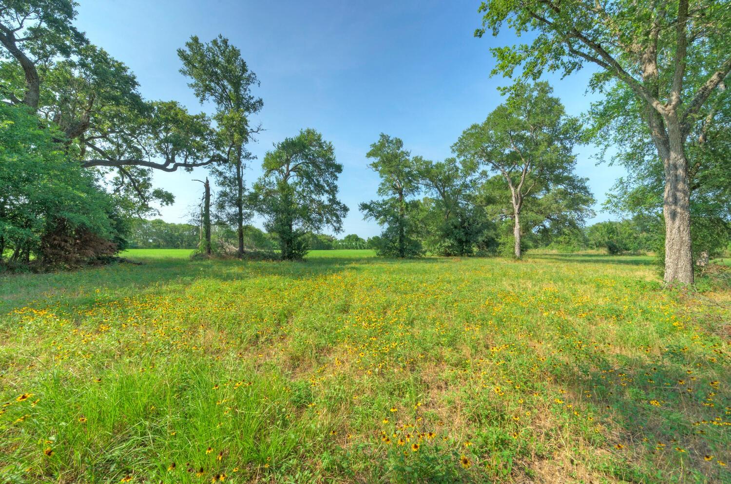 1368 Fm 969 Highway Property Photo 27
