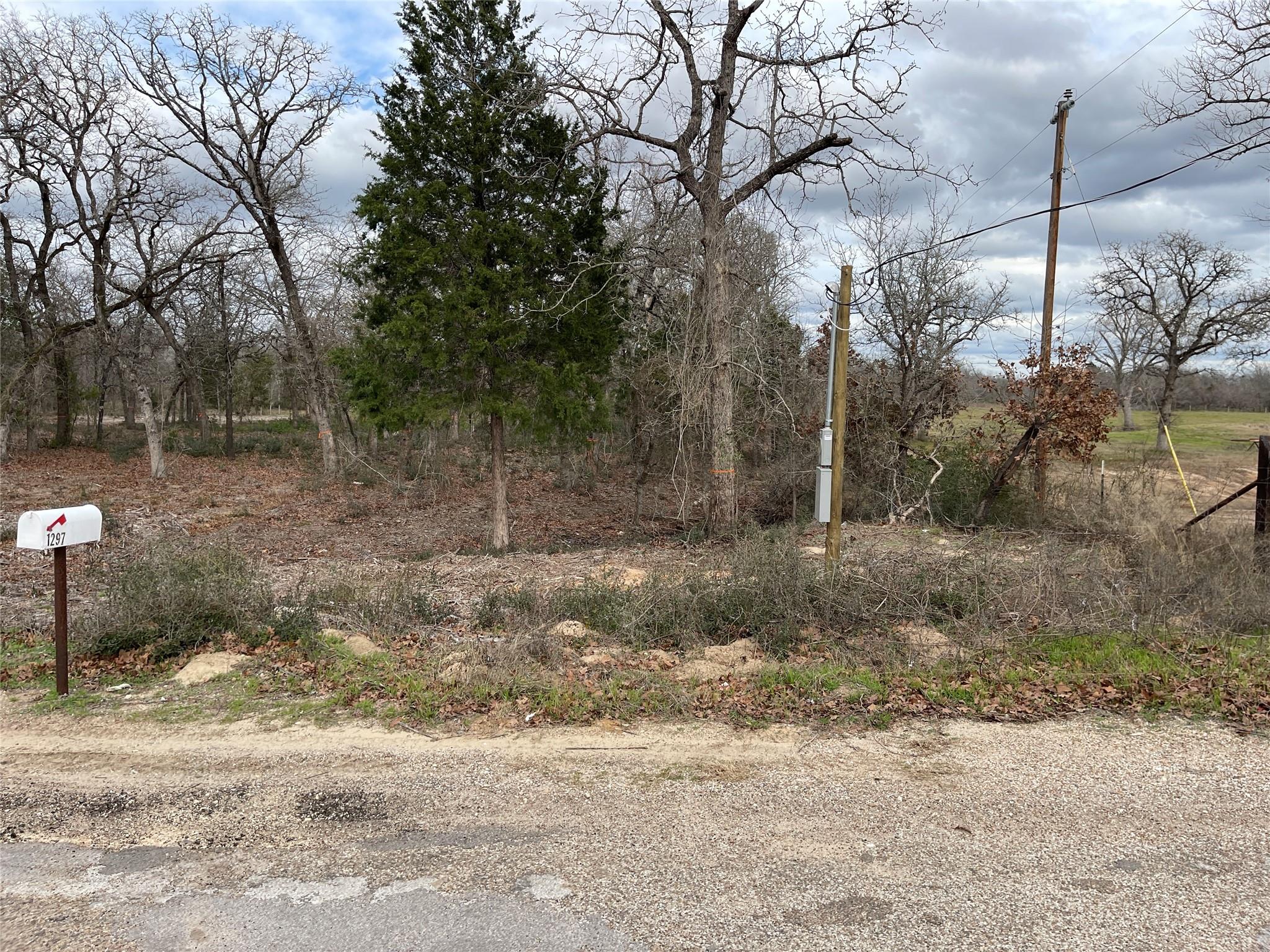 1250 Cypress Trail Loop Property Photo 1