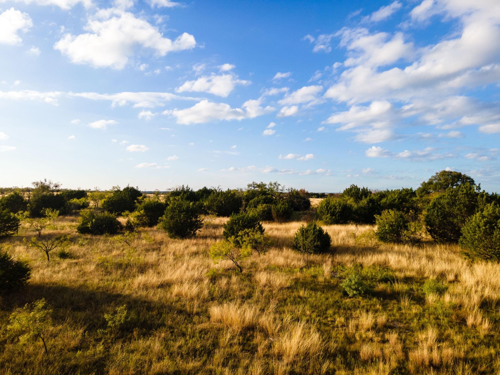 Lot 155 Heartleaf Dr Property Photo 3