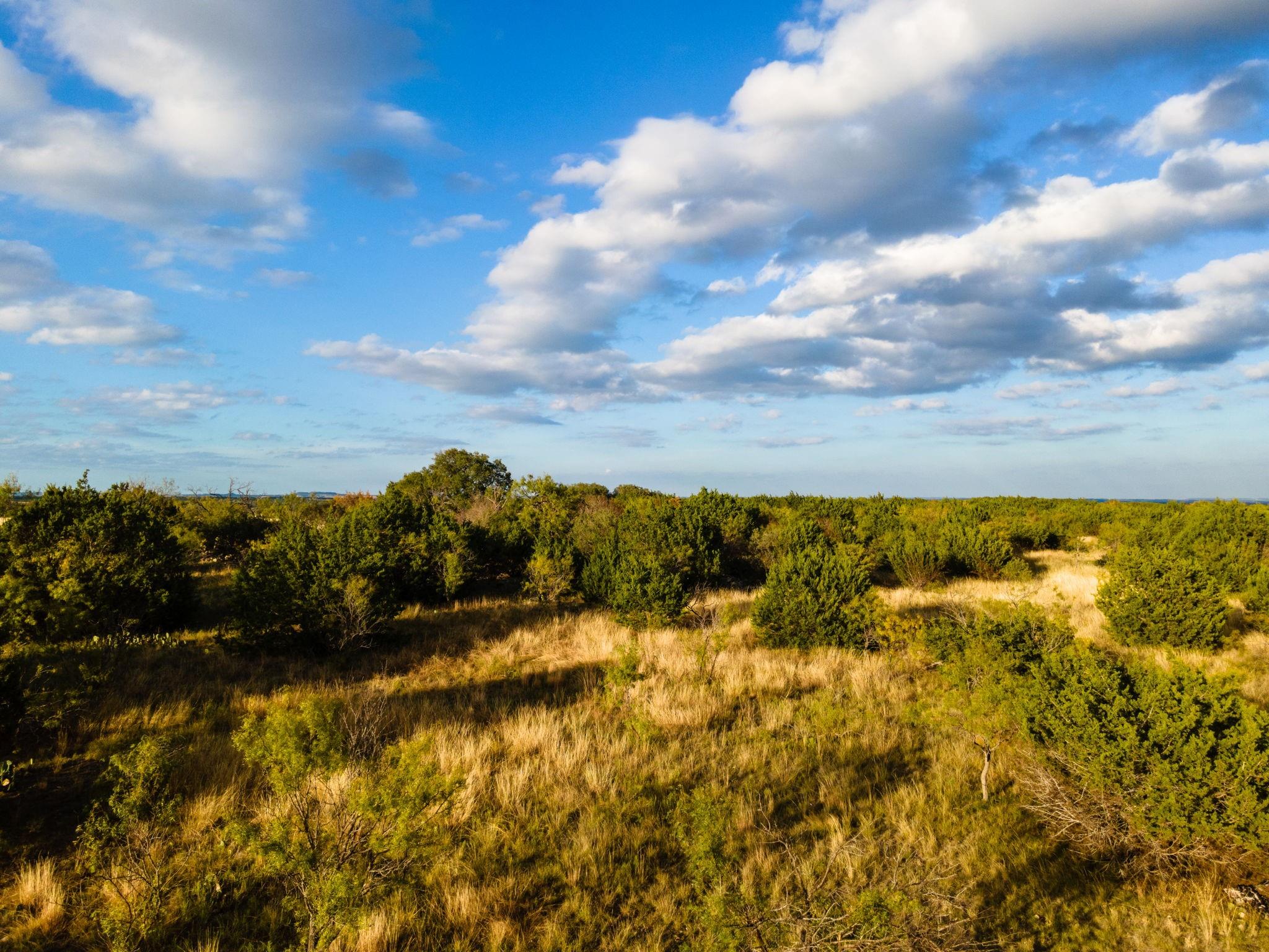 Lot 155 Heartleaf Dr Property Photo 4