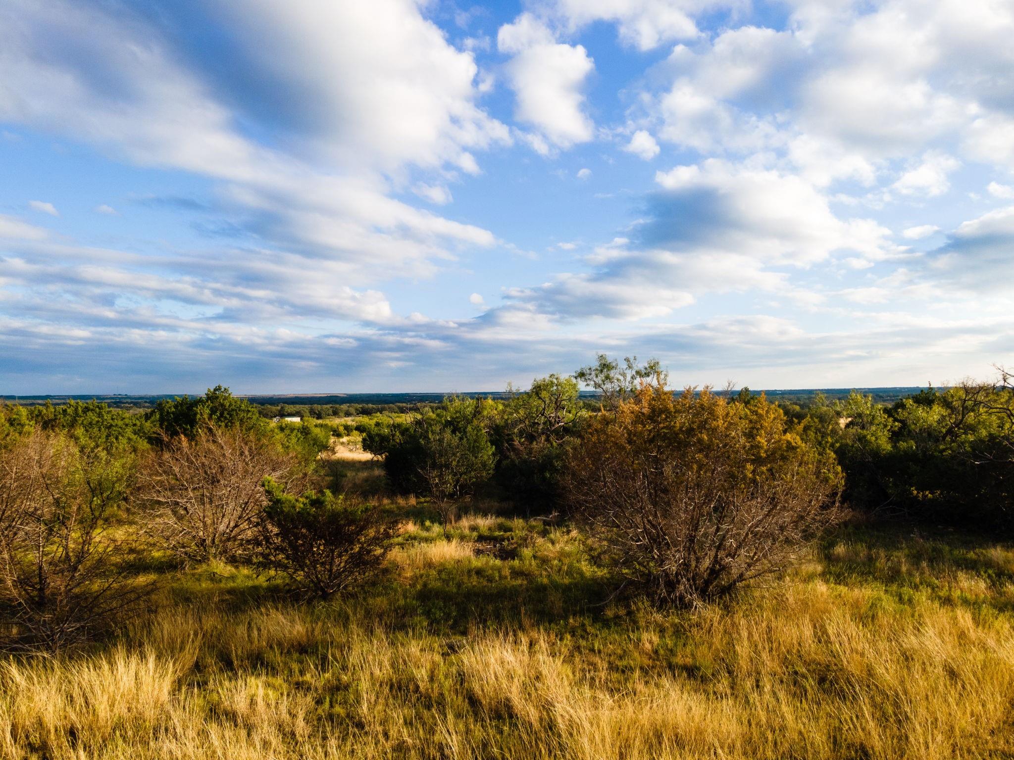 Lot 155 Heartleaf Dr Property Photo 5