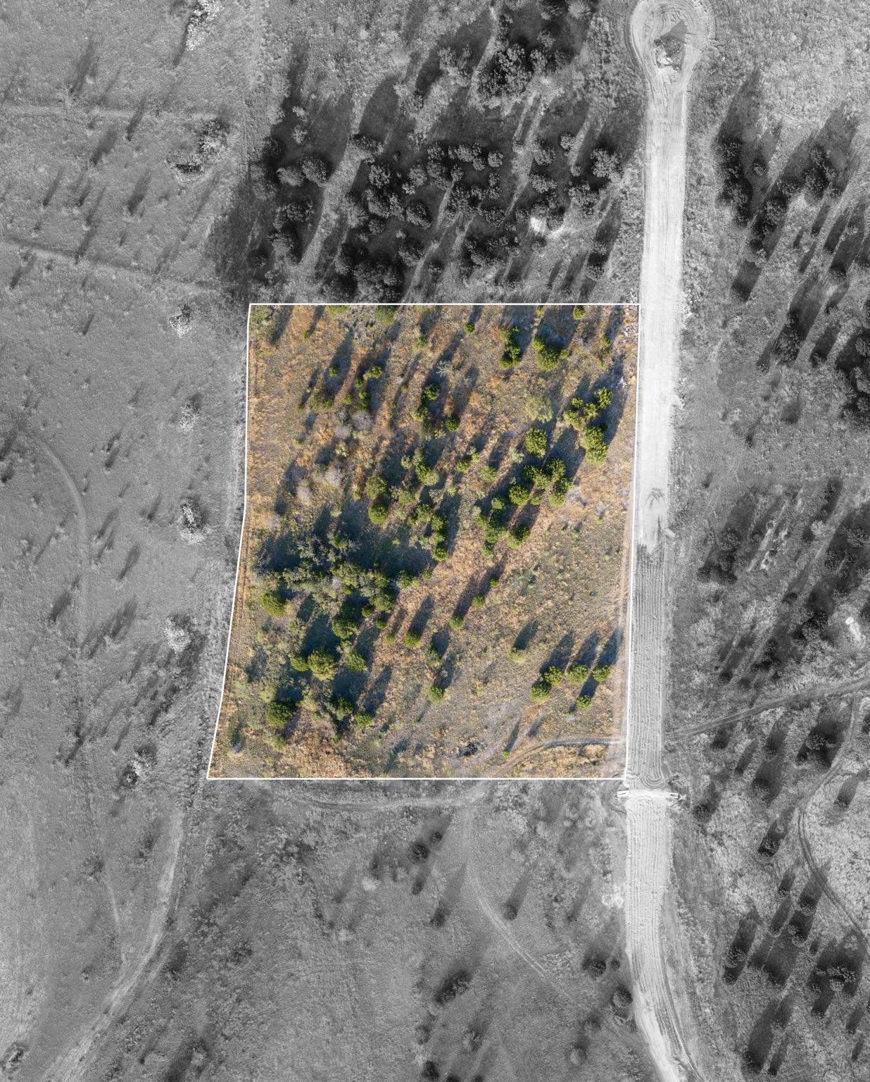 Lot 155 Heartleaf Dr Property Photo 7